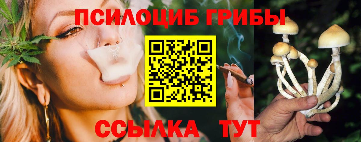 Галлюциногенные грибы Psilocybine cubensis Магадан